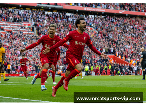 扎伊尔球员：非洲足球之光