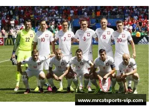 波兰球员俱乐部:历史、文化与现代发展 波兰球员俱乐部:历史、文化与现代发展