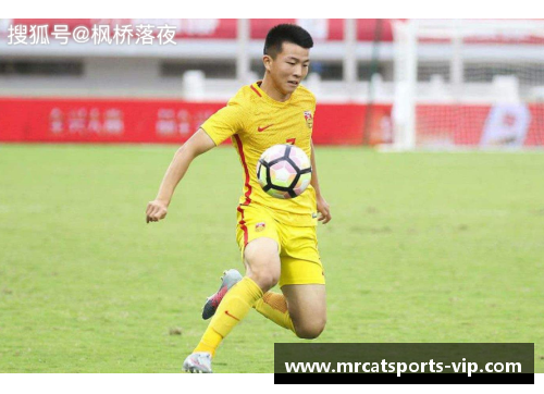 足坛新星：揭秘未来之星的评分密码