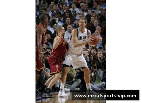 NBA球星的精彩瞬间：激情、荣耀与拼搏