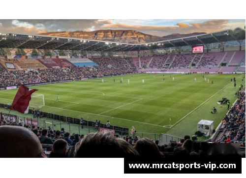 探索NBA背后的故事：球场内外的精彩世界