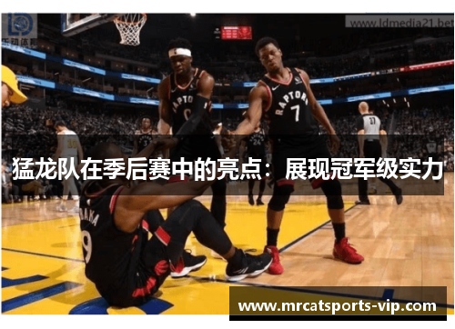 猛龙队在季后赛中的亮点：展现冠军级实力