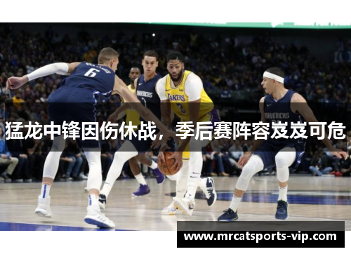 猛龙中锋因伤休战，季后赛阵容岌岌可危
