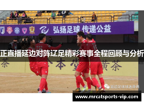 正直播延边对阵辽足精彩赛事全程回顾与分析