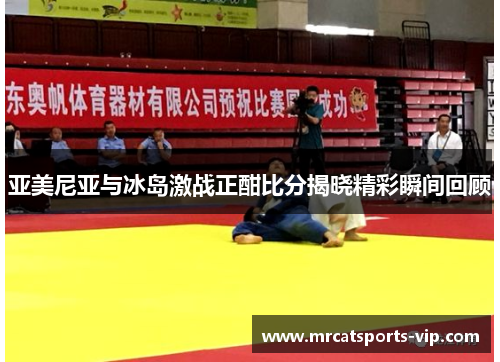 亚美尼亚与冰岛激战正酣比分揭晓精彩瞬间回顾