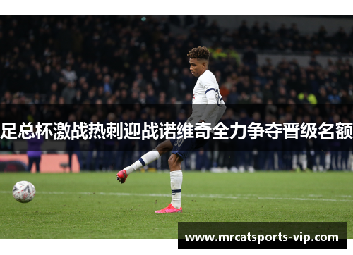 足总杯激战热刺迎战诺维奇全力争夺晋级名额