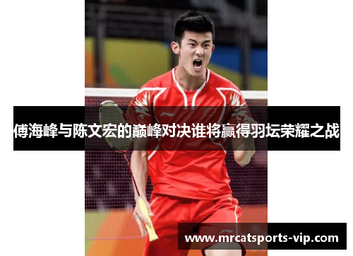 傅海峰与陈文宏的巅峰对决谁将赢得羽坛荣耀之战